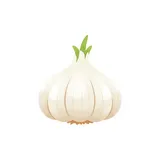 Go-Tan gehakte knoflook