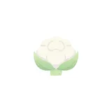 Bloemkool