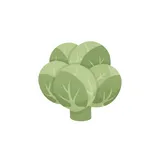 Spruiten 750 G