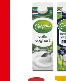 Campina yoghurt