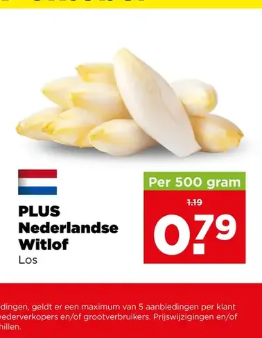 PLUS Nederlandse Witlof