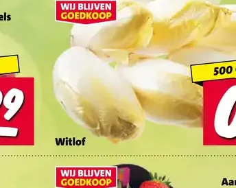 Witlof